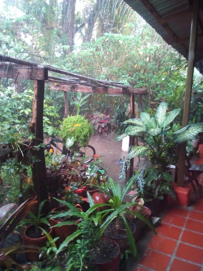Hostal Villa Cecilia ビジャビエハ エクステリア 写真