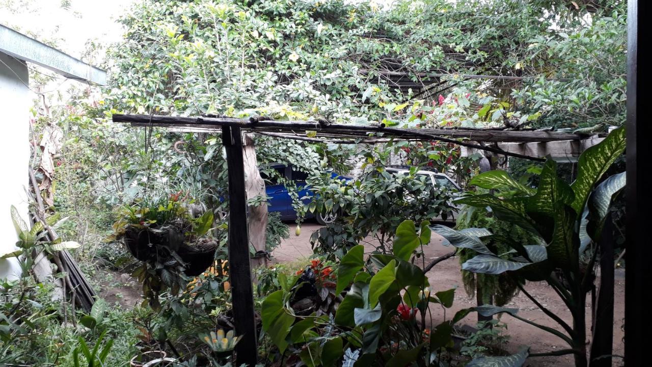 Hostal Villa Cecilia ビジャビエハ エクステリア 写真